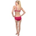 DF Magenta Legend Layered Top Bikini Set View2