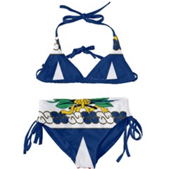 Coat Of Arms Of United States Army 111th Medical Battalion Kids  Classic Bikini Set by abbeyz71