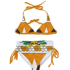 Previous Coat Of Arms Of United States Army 136th Signal Battalion Kids  Classic Bikini Set by abbeyz71