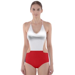 Flag Of Sokol Cut-out One Piece Swimsuit by abbeyz71