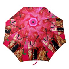 Revelation 1 1 Folding Umbrellas by bestdesignintheworld