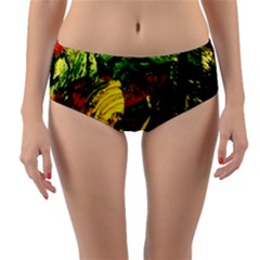 Revelation 1 3 Reversible Mid-waist Bikini Bottoms by bestdesignintheworld