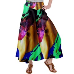 Global Warming 9 Satin Palazzo Pants by bestdesignintheworld