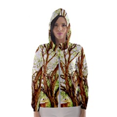 Hot Day In Dallas 14 Women s Hooded Windbreaker by bestdesignintheworld