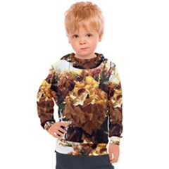 Begonia 1 2 Kids  Hooded Pullover by bestdesignintheworld