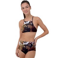 Lilies 1 1 High Waist Tankini Set by bestdesignintheworld