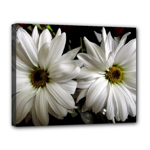 Daisies Canvas 14  X 11  (stretched) by bestdesignintheworld