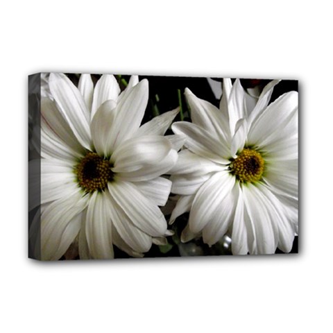 Daisies Deluxe Canvas 18  X 12  (stretched) by bestdesignintheworld