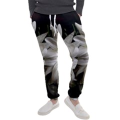 Daisies Men s Jogger Sweatpants by bestdesignintheworld