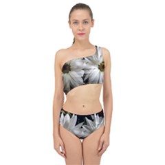 Daisies Spliced Up Two Piece Swimsuit by bestdesignintheworld
