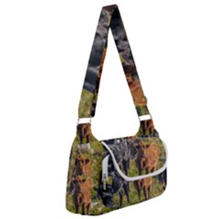 Cows At Countryside, Maldonado Department, Uruguay Multipack Bag by dflcprints