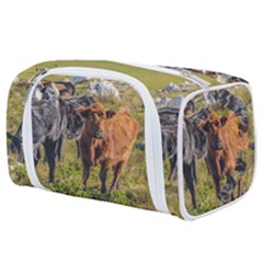 Cows At Countryside, Maldonado Department, Uruguay Toiletries Pouch by dflcprints
