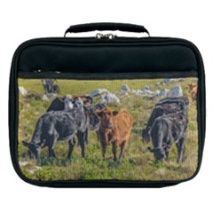 Cows At Countryside, Maldonado Department, Uruguay Lunch Bag by dflcprints