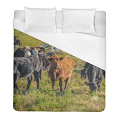 Cows At Countryside, Maldonado Department, Uruguay Duvet Cover (full/ Double Size) by dflcprints