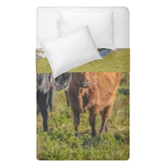 Cows At Countryside, Maldonado Department, Uruguay Duvet Cover Double Side (single Size) by dflcprints