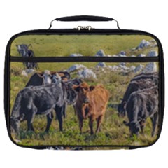 Cows At Countryside, Maldonado Department, Uruguay Full Print Lunch Bag by dflcprints