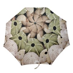 Sea Urchins Folding Umbrellas by TheLazyPineapple