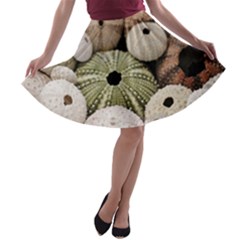 Sea Urchins A-line Skater Skirt by TheLazyPineapple