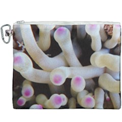 Sea Anemone Canvas Cosmetic Bag (xxxl) by TheLazyPineapple