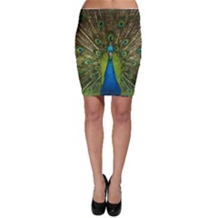 Peacock Feathers Bird Nature Bodycon Skirt