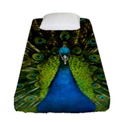 Peacock Feathers Bird Nature Fitted Sheet (single Size)