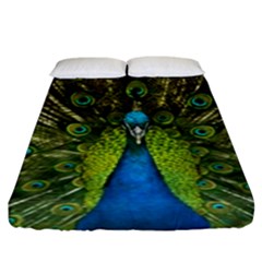 Peacock Feathers Bird Nature Fitted Sheet (King Size)