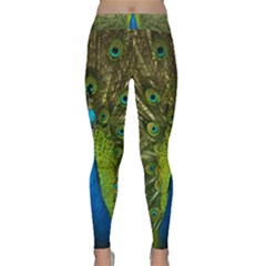 Peacock Feathers Bird Nature Classic Yoga Leggings