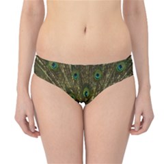 Peacock Feathers Bird Nature Hipster Bikini Bottoms