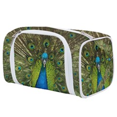 Peacock Feathers Bird Nature Toiletries Pouch by Vaneshart