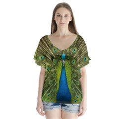 Peacock Feathers Bird Nature V-Neck Flutter Sleeve Top