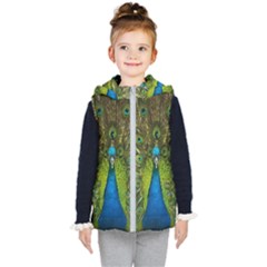 Peacock Feathers Bird Nature Kids  Hooded Puffer Vest by Vaneshart