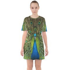 Peacock Feathers Bird Nature Sixties Short Sleeve Mini Dress