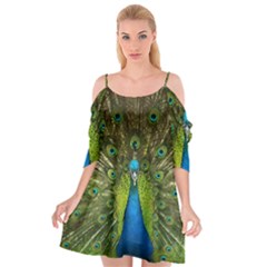 Peacock Feathers Bird Nature Cutout Spaghetti Strap Chiffon Dress