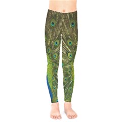 Peacock Feathers Bird Nature Kids  Leggings