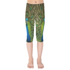 Peacock Feathers Bird Nature Kids  Capri Leggings 