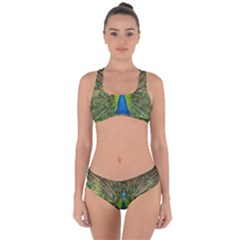 Peacock Feathers Bird Nature Criss Cross Bikini Set