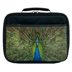 Peacock Feathers Bird Nature Lunch Bag