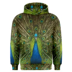 Peacock Feathers Bird Nature Men s Overhead Hoodie