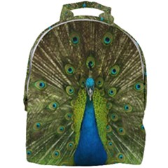 Peacock Feathers Bird Nature Mini Full Print Backpack