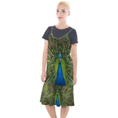 Peacock Feathers Bird Nature Camis Fishtail Dress