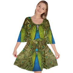 Peacock Feathers Bird Nature Velour Kimono Dress