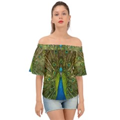 Peacock Feathers Bird Nature Off Shoulder Short Sleeve Top