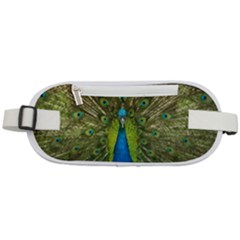 Peacock Feathers Bird Nature Rounded Waist Pouch