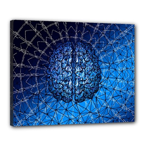 Brain Web Network Spiral Think Canvas 20  x 16  (Stretched)
