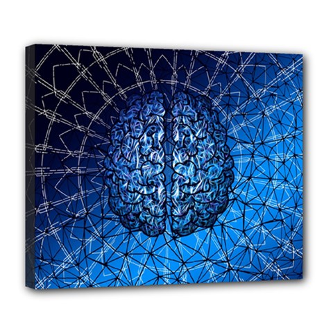 Brain Web Network Spiral Think Deluxe Canvas 24  x 20  (Stretched)