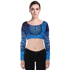 Brain Web Network Spiral Think Velvet Long Sleeve Crop Top