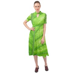 Green Bright Digital Manipulation Keyhole Neckline Chiffon Dress by Vaneshart