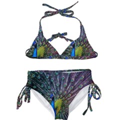 Peacock Colors Bird Colorful Kids  Classic Bikini Set by Vaneshart