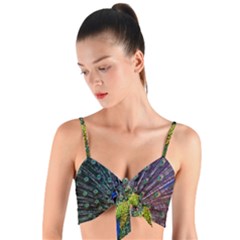 Peacock Colors Bird Colorful Woven Tie Front Bralet by Vaneshart