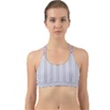 Nice Stripes - Cloudy Grey Back Web Sports Bra View1